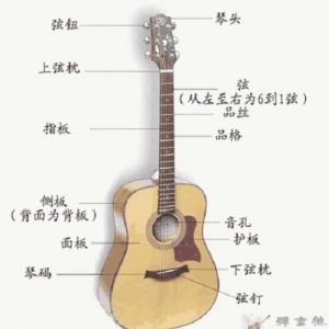 0基础新手入门自学吉他，很简单看完就会