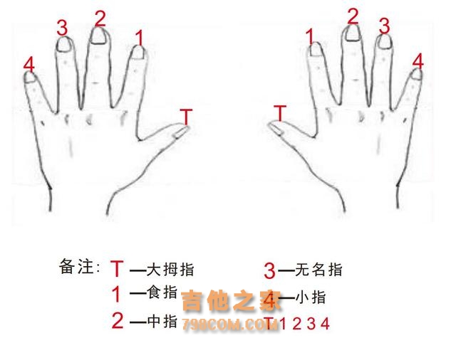 【吉他篇】10- 带你使用T1 21 31 21 弹唱的歌曲《送别》