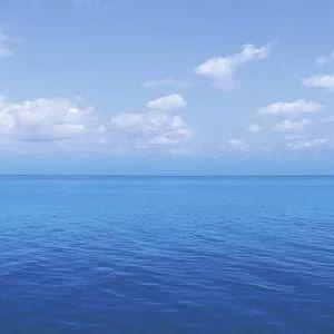 小熊吉他邀全国一线吉他老师共同参与吉他教材编制