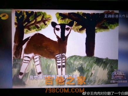 萌娃才艺惊人：诺一弹吉他，大俊走向国际，看完王诗龄不会再黑她