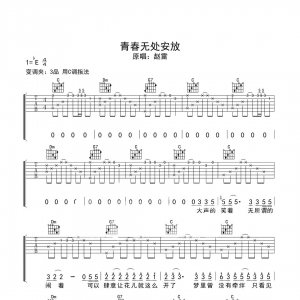 赵雷《青春无处安放》青春无处安放吉他谱|网友约谱