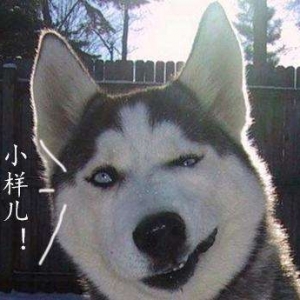 搞笑段子 尤克里里把吉他暴打一顿之后