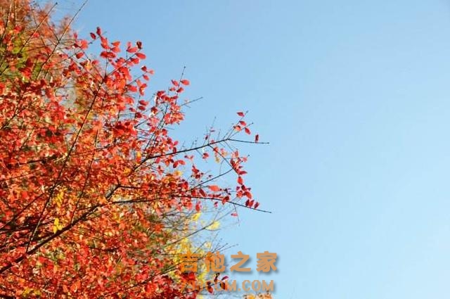老吉他·我心里的执念