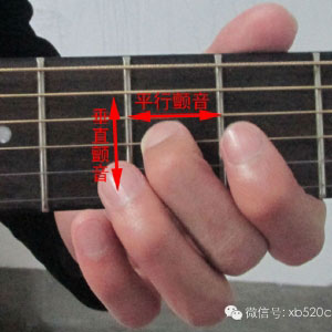 【技巧分享3】吉他颤音和推弦技术