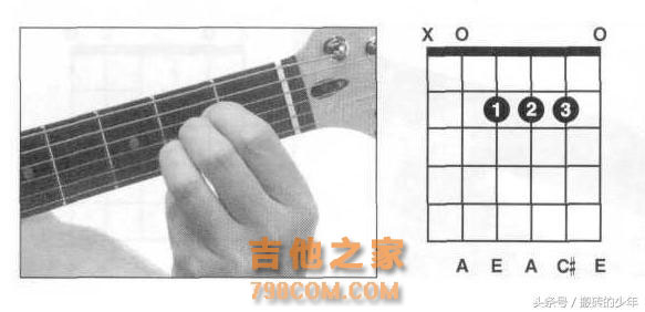 吉他其实并不难 学会这8个和弦 轻松搞定80%的流行歌曲 简单实用