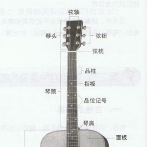 吉他 组成结构 部位名称及其作用