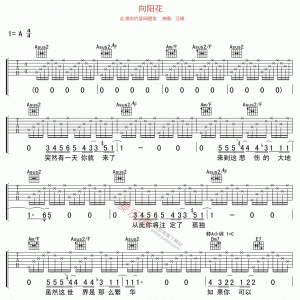汪峰《向阳花》向阳花吉他谱