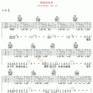 汪峰《怒放的生命》怒放的生命吉他谱 D调吉他谱