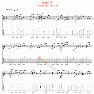 卢家宏《美丽心情》美丽心情吉他谱