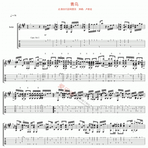 卢家宏《青鸟》青鸟吉他谱