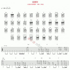卢家宏《说爱你》说爱你吉他谱
