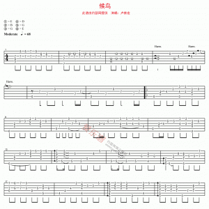 卢家宏《候鸟》候鸟吉他谱