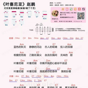 吉他弹唱:《叶塞尼亚》 - 赵鹏