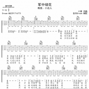 《军中绿花》军中绿花吉他弹唱练习及视频课程