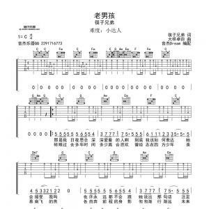 《老男孩》吉他谱及吉他视频教学