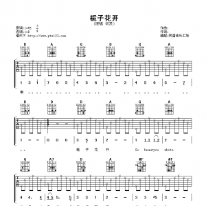 何炅《栀子花开》栀子花开吉他谱六线谱