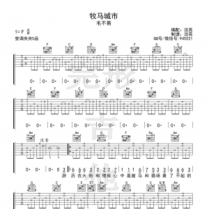 毛不易《牧马城市》牧马城市吉他谱 【完形吉他】沈亮出品