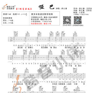 薛之谦《哑巴》哑巴吉他谱  C调简单版【酷音小伟吉他】