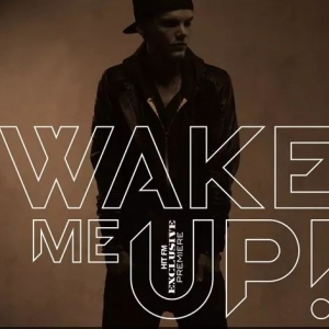 特别推荐 | 吉他版《Wake Me Up》致敬天才音乐制作人Avicii ...