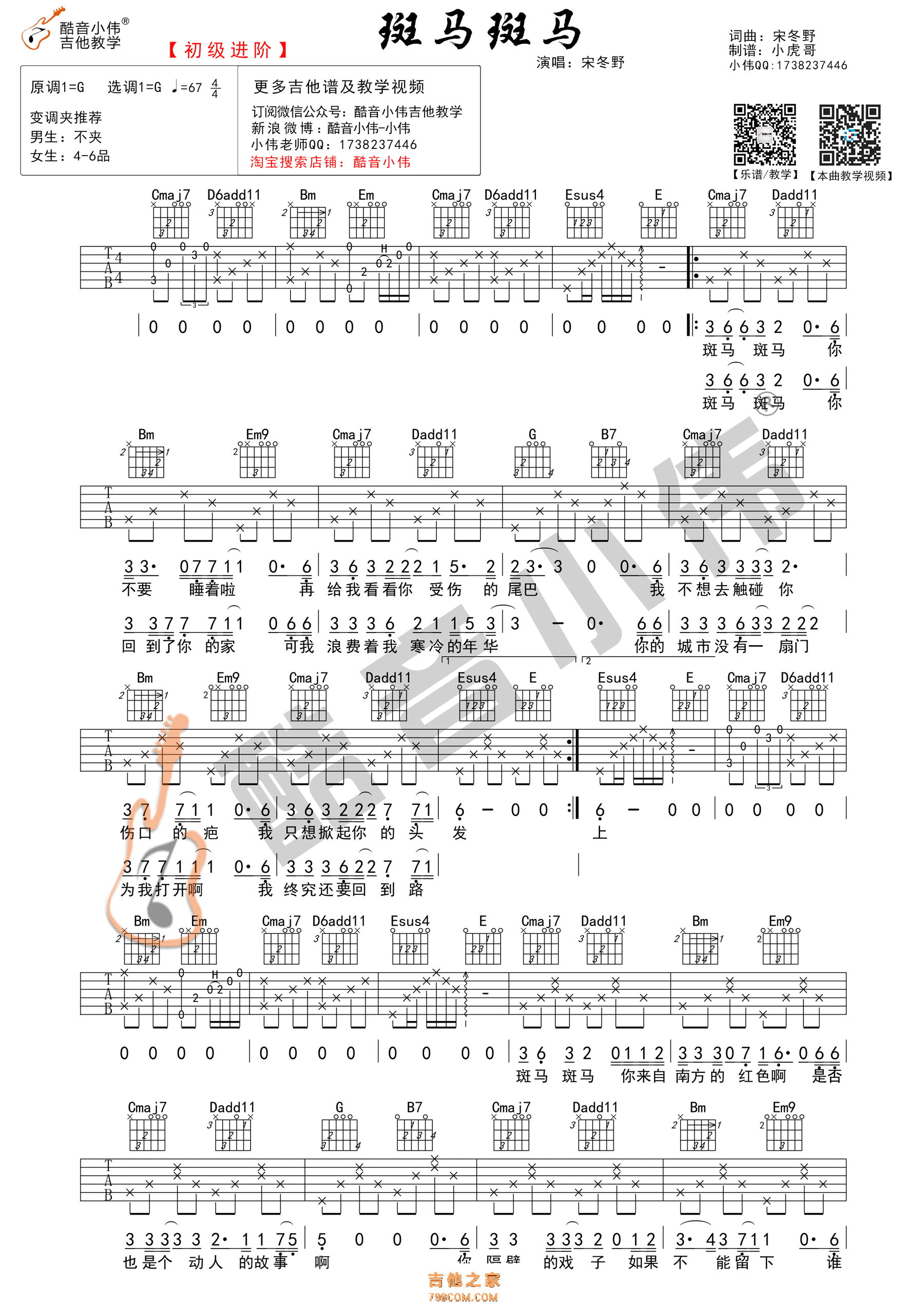 斑马斑马吉他谱 宋冬野 G调初级进阶版（酷音小伟吉他）