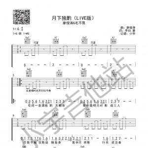廖俊涛&毛不易《月下独酌》月下独酌吉他谱  G调小宇吉他版 ... ...