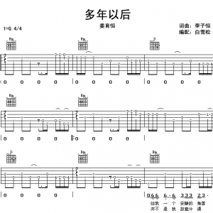 姜育恒《多年以后》多年以后吉他谱G调