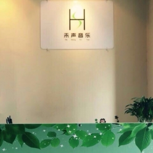 禾声音乐吉他教室(朝阳北路店)
