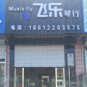飞乐琴行