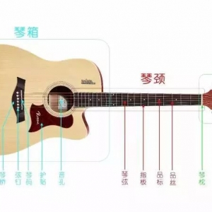 吉他自学这些基础知识你不能错过