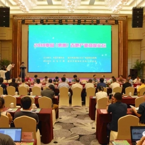 2018中国(惠阳)吉他产业高峰论坛成功举办