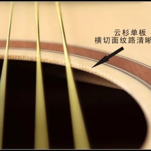 为什么你要拥有一把单板吉他?