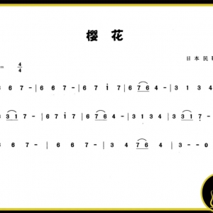 【吉他干货分享03】在曲子里加点揉弦技巧