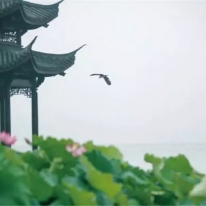 吉他《有你很幸福》, 流年芬芳
