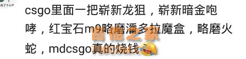 你知道哪些烧钱的兴趣爱好？网友：玩吉他十多年花了20多万！