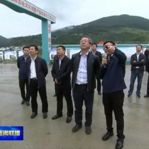 卢雍政在正安县调研吉他产业