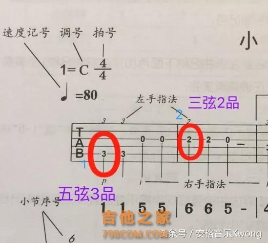 乐理系列｜零基础学习吉他六线谱
