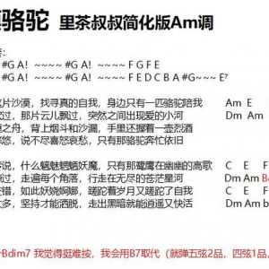 ∎谱子∎《沙漠骆驼》简化SOLO前奏，里茶叔叔的简单版 ...