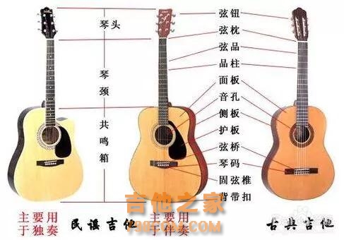吉他不会弹？这些常识总要知道吧！