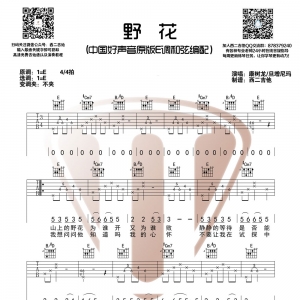 野花吉他谱 康树龙/旦增尼玛《野花》E调六线谱 西二吉他