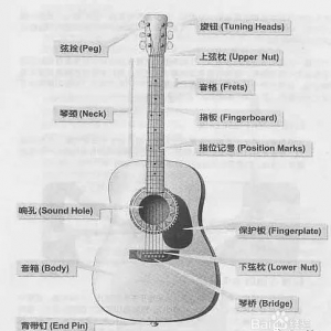 吉他入门简明教程(基础知识)