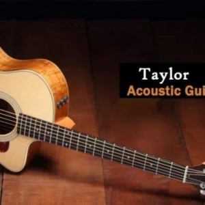 吉他厂家Taylor的全球供应链