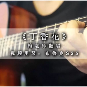 吉他弹唱 | 满满的回忆 唐磊《丁香花》