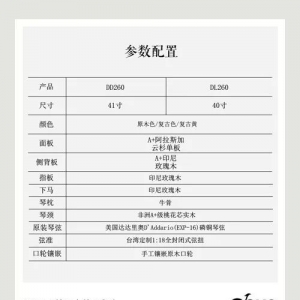 DOVE鸽子吉他DD260鉴赏