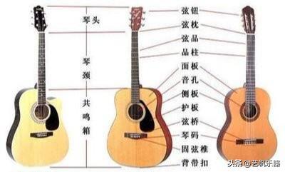 初学者该知道的《吉他基本常识》之吉他的种类