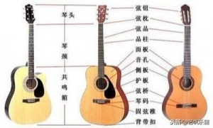 初学者该知道的《吉他基本常识》之吉他的种类