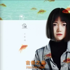 王贰浪《像鱼》像鱼吉他谱 G调六线谱