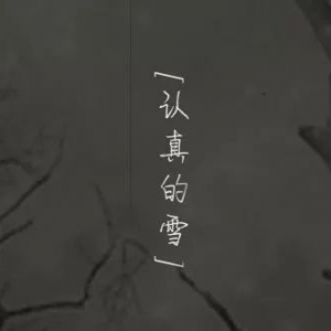 薛之谦《认真的雪》吉他谱及吉他弹唱