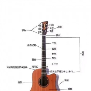 学吉他第一弹：认识吉他，你知道吉他的三大类吗？