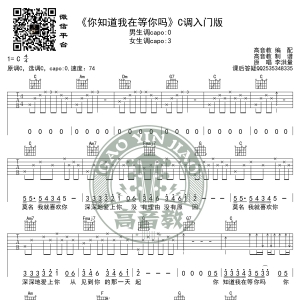 《你知道我在等你吗》吉他谱C调入门版 张洪量 高音教编配