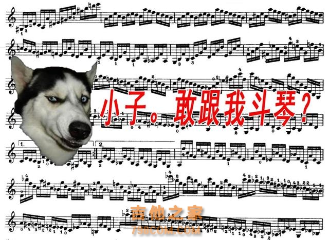 千万不要轻易练习吉他指弹，别说我没提醒过你！